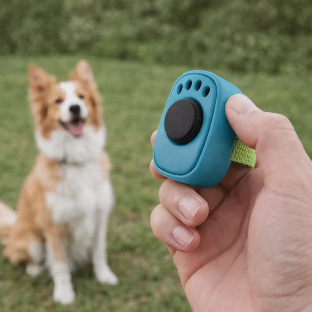 Training Clicker