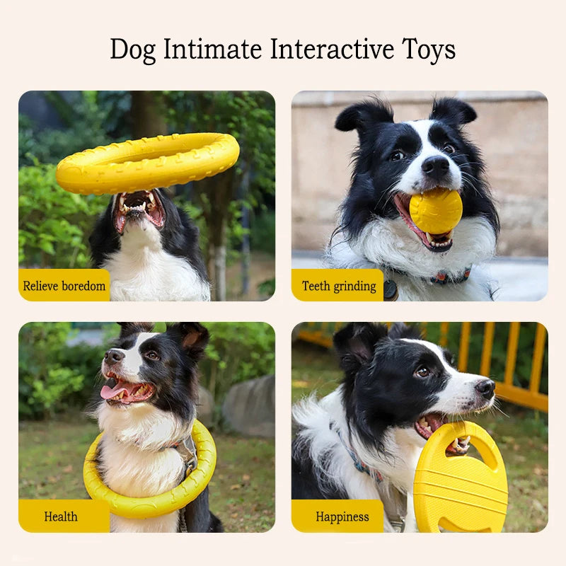 Durable Flying Disc + Ball + Tug Rope