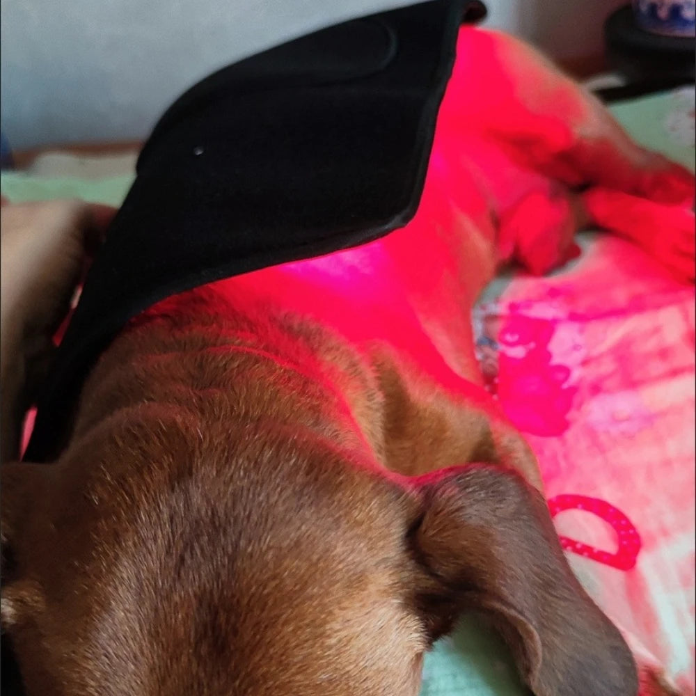 Infrared Red Light Therapy Belt Wrap