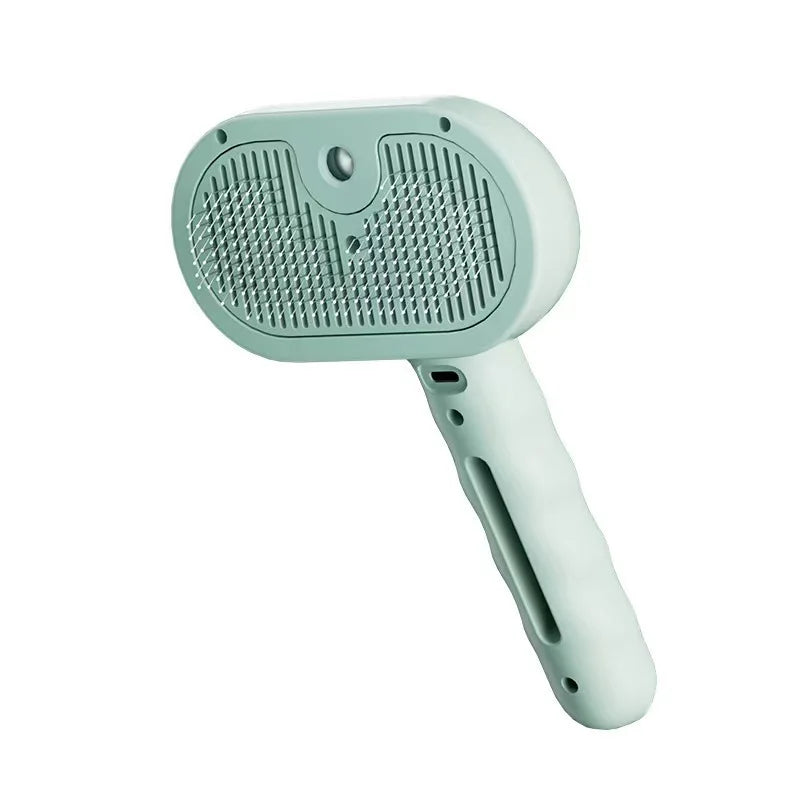 Electric Steamy Brush