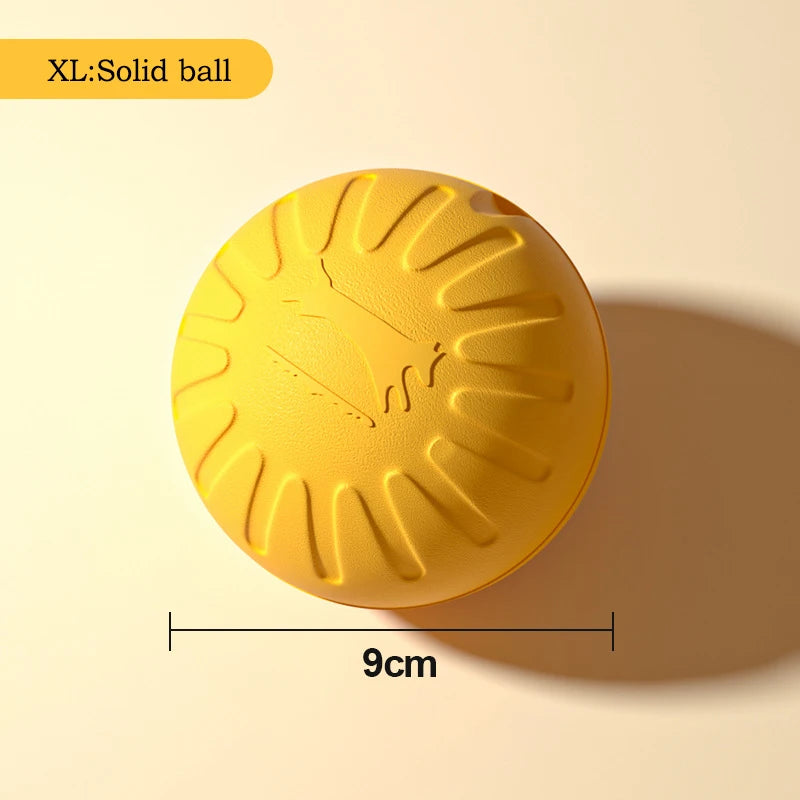 Durable Flying Disc + Ball + Tug Rope
