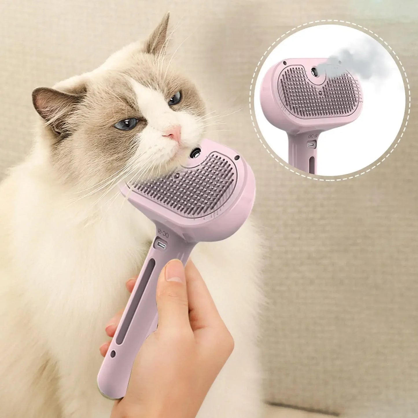 Electric Steamy Brush