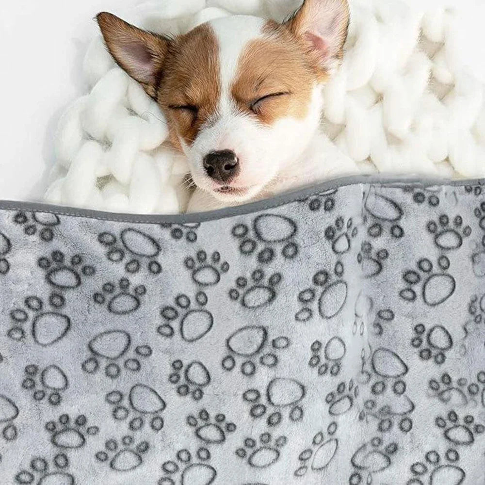 Soft Dog Blanket