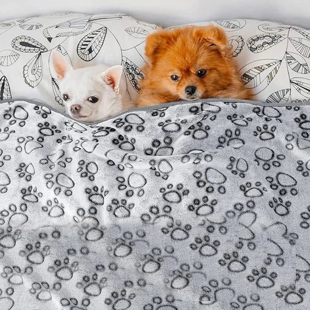 Soft Dog Blanket