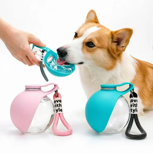 Foldable Pet Water Bottle