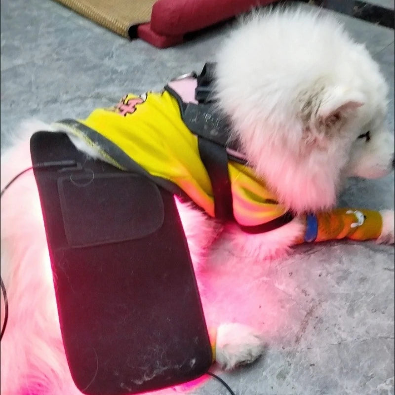 Infrared Red Light Therapy Belt Wrap