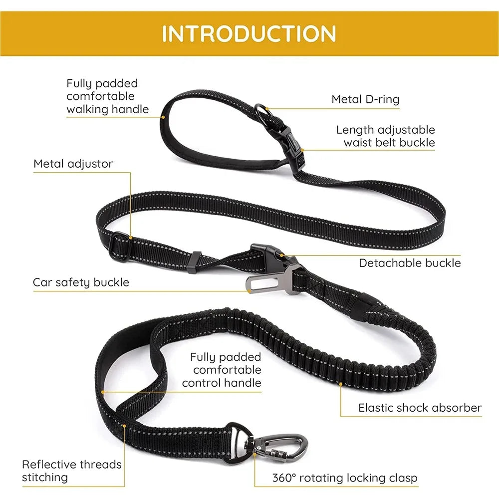 Hands-Free Dog Leash