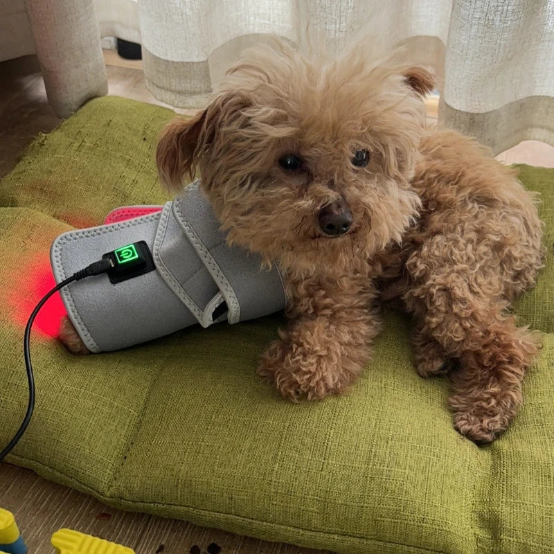 Infrared Red Light Therapy Belt Wrap